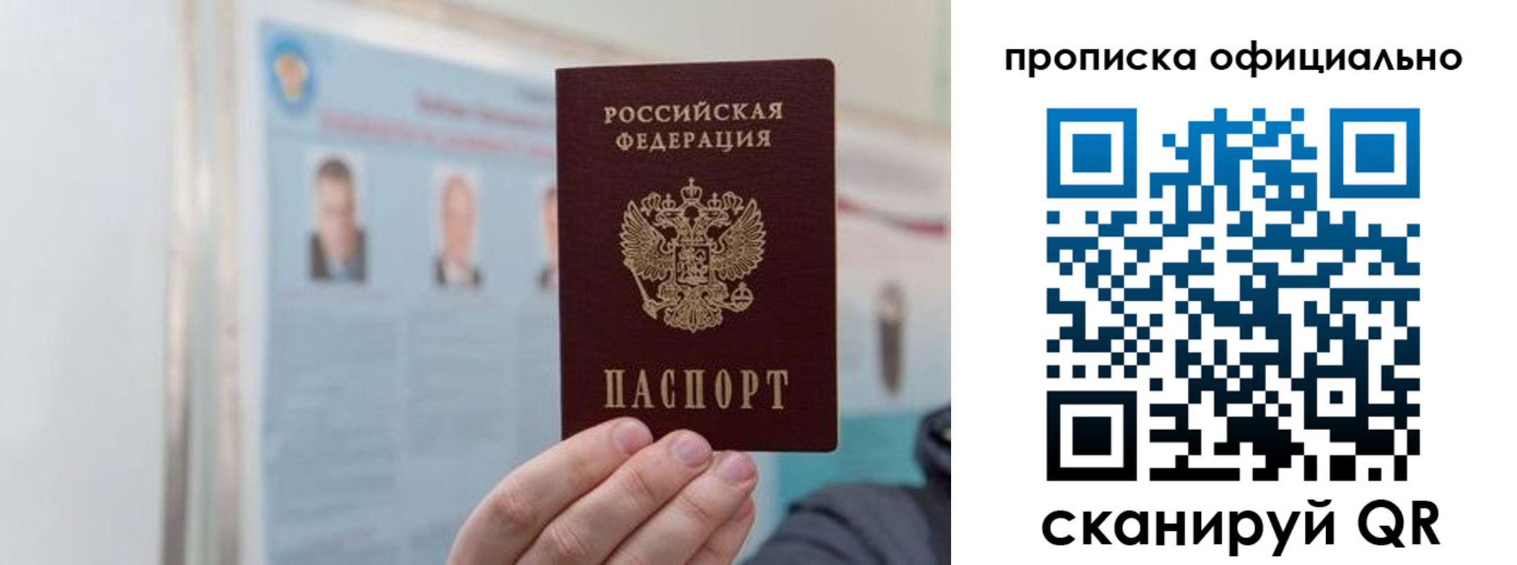 прописка гарантия в Касимове